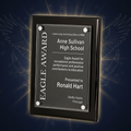 Eagle Award plaque for Anne Sullivan High School on a green background