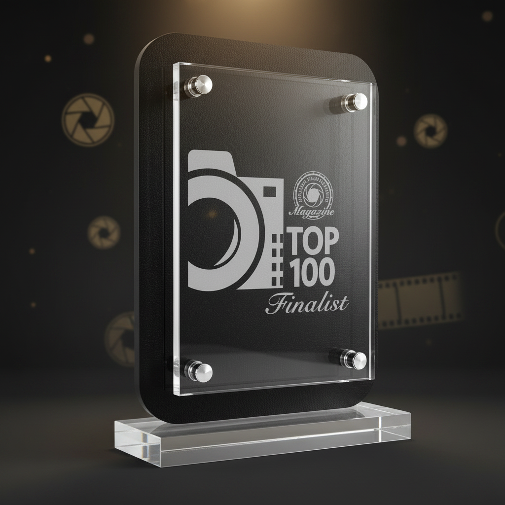 Black and white award plaque for Top 100 Finalist on a white background