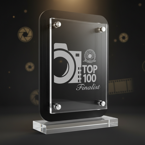 Black and white award plaque for Top 100 Finalist on a white background